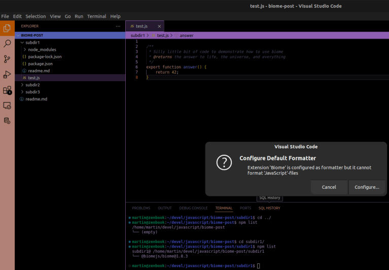 Configuring a custom location for biomejs in VSCode – Martins Blog